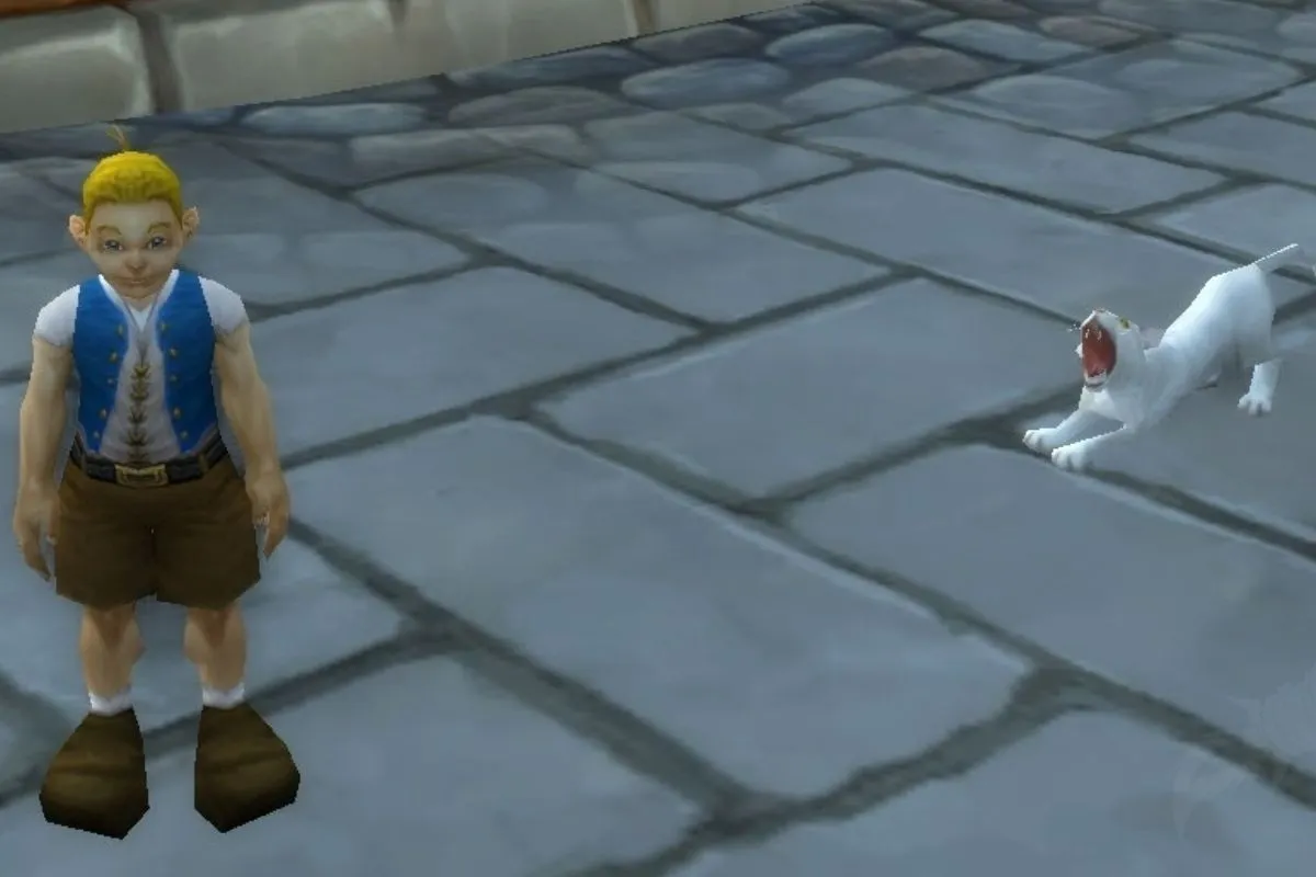 Stormwind’de Lil Timmy