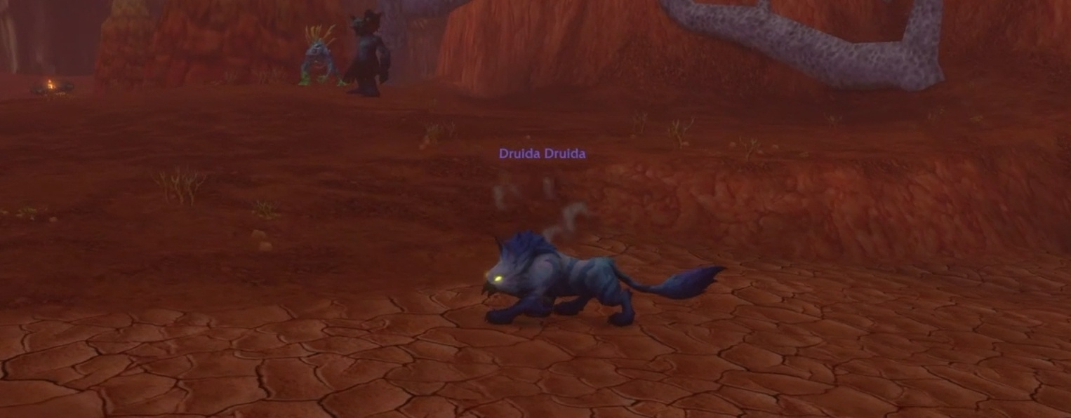 Kuşla kedi karışımı Skyborne Cat Form