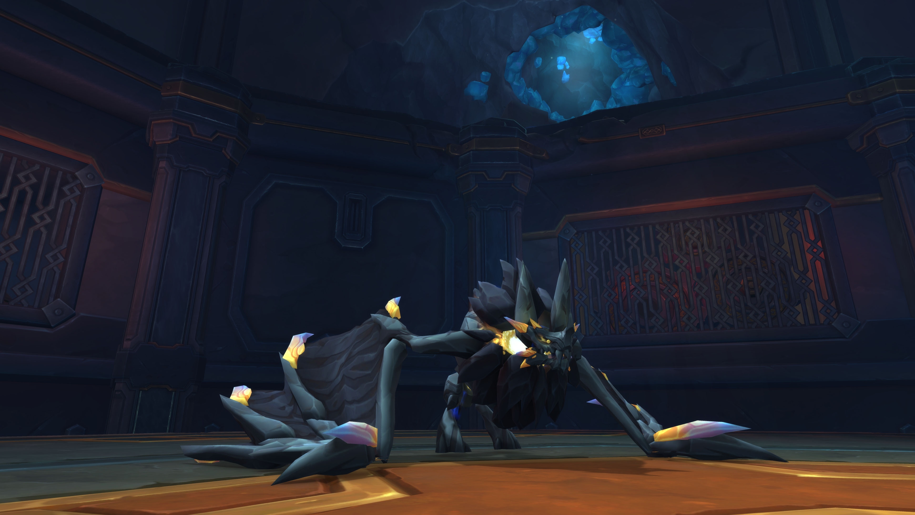Azerite yarasası Noctinaxx