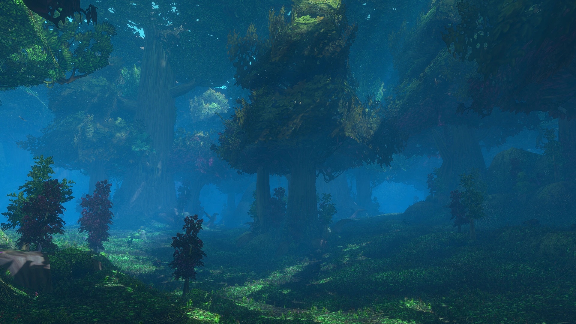 World of Warcraft: Forever’dan bir bölge