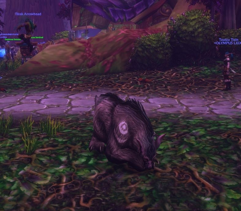 Bear Form’dayken potion kullanan Druid